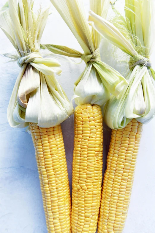 three ears of corn on a white surface, a digital rendering, by Carey Morris, unsplash, cooked, a cozy, silk, holiday