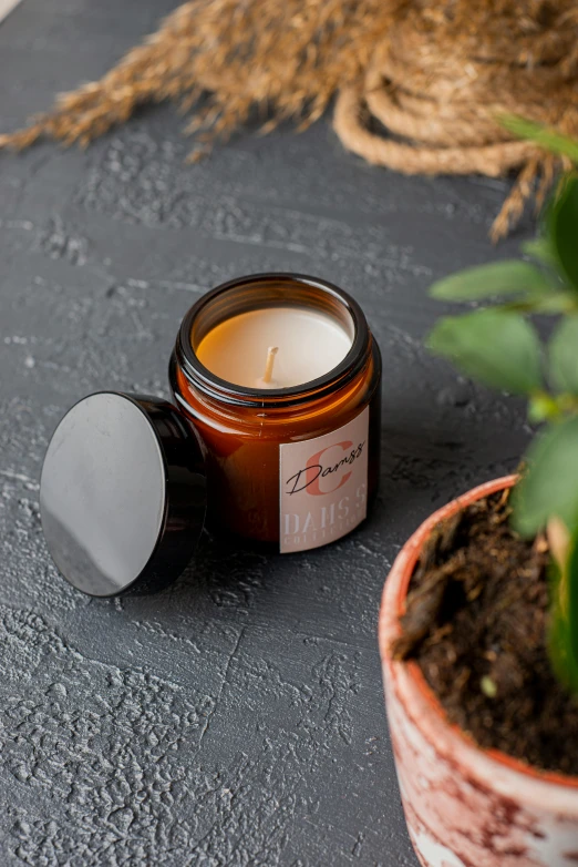 a candle sitting on top of a table next to a potted plant, by Julia Pishtar, orange mist, product image, high angle close up shot, natural mini gardens