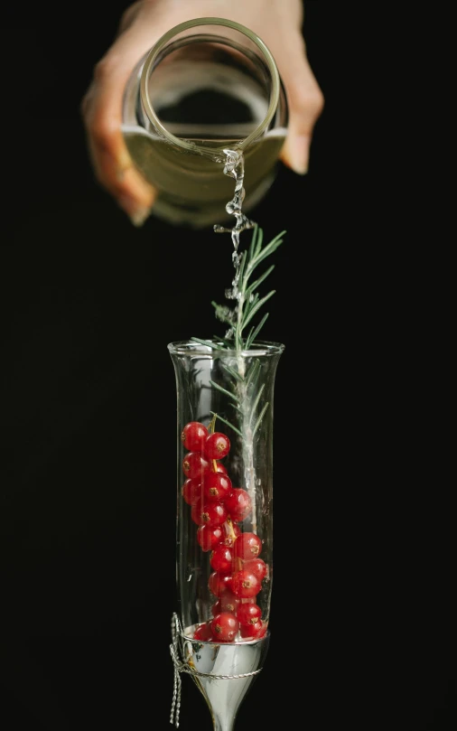 a person pouring water into a glass filled with red berries, inspired by Ceferí Olivé, renaissance, test tubes, promotional image, pose 4 of 1 6, garnish