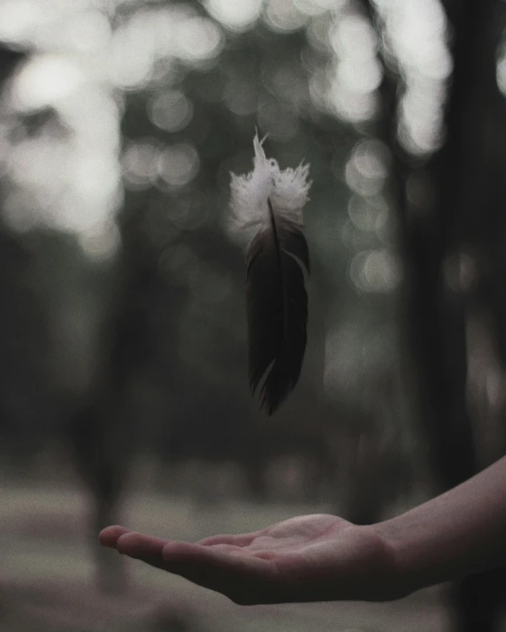 a person holding a feather in their hand, inspired by Elsa Bleda, pexels contest winner, hanging from a tree, lgbtq, desaturated, instagram story