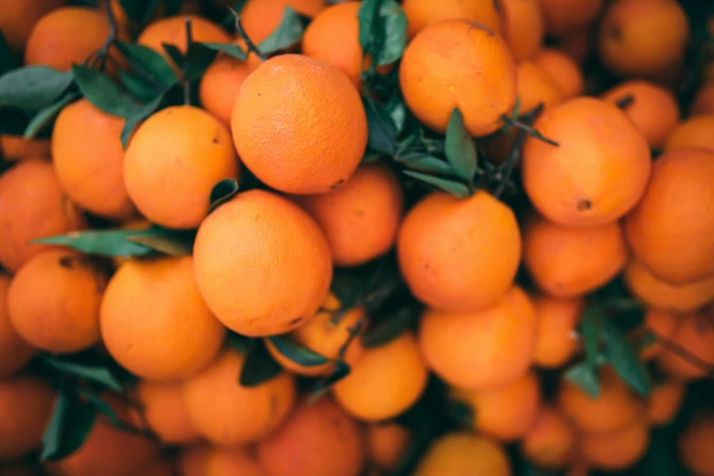 a bunch of oranges sitting on top of each other, pexels, 🦩🪐🐞👩🏻🦳, agent orange, shot with a canon 35mm lens, very crisp details