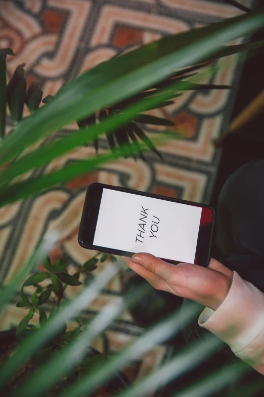 a person holding a smart phone in their hand, by Julia Pishtar, trending on unsplash, next to a plant, thank you, elegant look, message