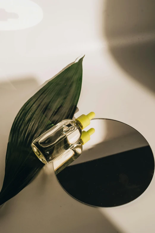 a bottle of perfume sitting on top of a mirror, inspired by Ceferí Olivé, unsplash, bauhaus, big leaves and stems, made of high tech materials, yellow lighting from right, closeup - view