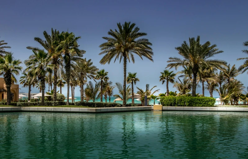a body of water surrounded by palm trees, arabian features, wellness pool, thumbnail, near the beach