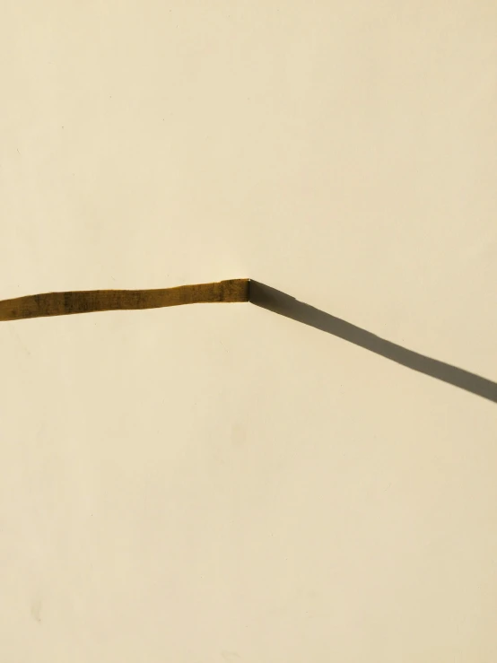 a stick sticking out of the side of a building, by Attila Meszlenyi, carbon black and antique gold, minimalist photorealist, long pigtail, by greg rutkowski