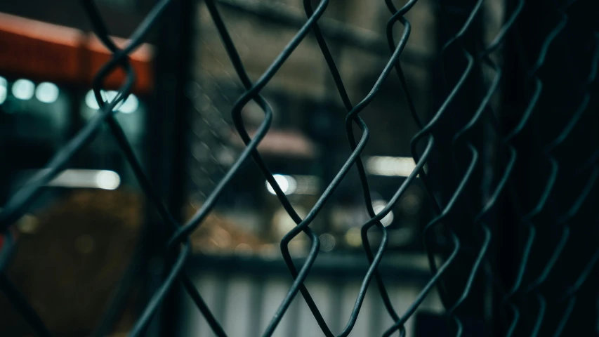 a close up of a chain link fence, inspired by Elsa Bleda, unsplash, standing in a dark alleyway, athletic crossfit build, cages, lo-fi