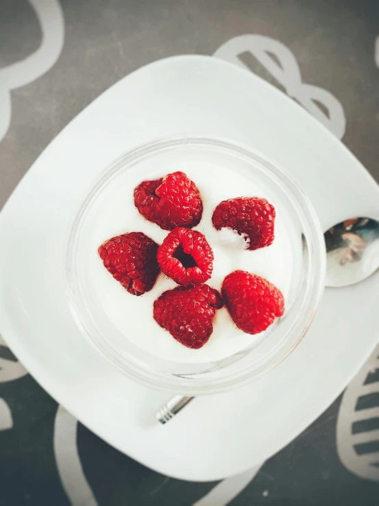 a bowl of yogurt topped with raspberries, by Adam Marczyński, pexels contest winner, renaissance, glass tableware, high angle close up shot, berries inside structure, gif