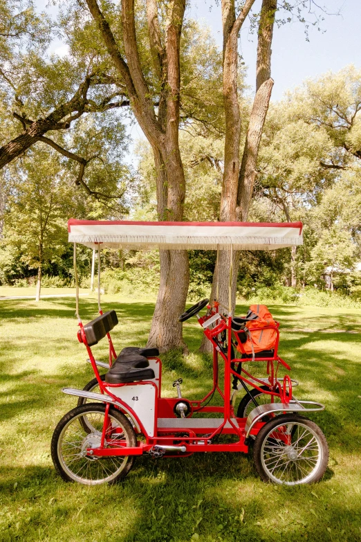 a red bike parked next to a tree in a park, chairlifts, in style of heikala, cart, well shaded