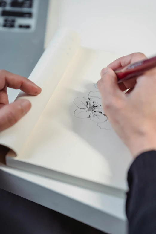 a person is drawing on a piece of paper, inspired by Sōami, process art, caran d'ache luminance, depicting a flower, caricaturist, no - text no - logo