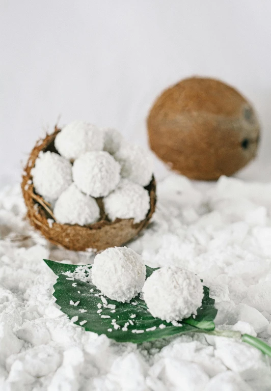 a bunch of food sitting on top of a pile of snow, coconuts, thumbnail, product shot, dessert