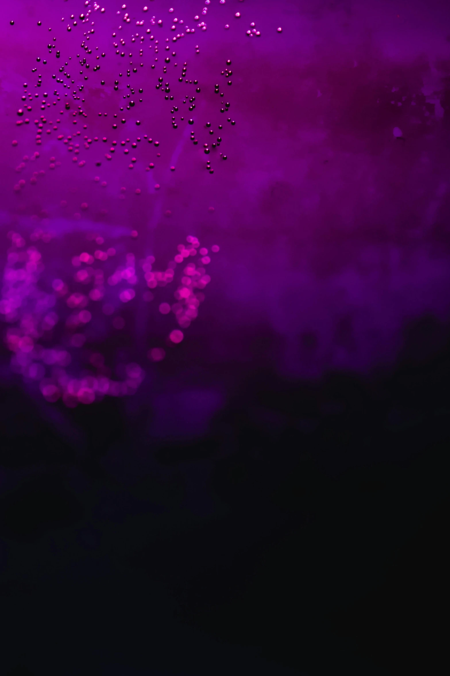 a close up of a person holding a tennis racquet, inspired by Elsa Bleda, conceptual art, purple liquid in cup glowing, grainy footage, ((purple)), bubbles