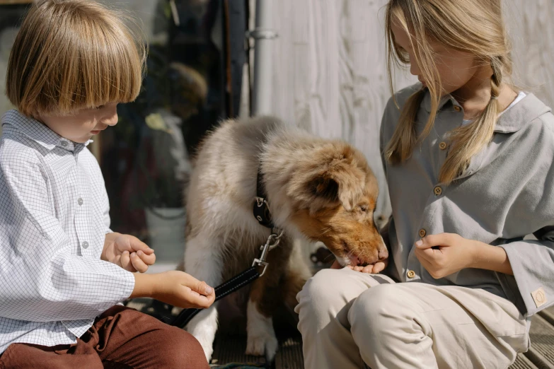 a couple of kids that are sitting down with a dog, by Emma Andijewska, trending on unsplash, visual art, having a snack, very realistic film still, manuka, local conspirologist