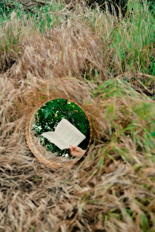 a mirror sitting in the middle of a field, by Elsa Bleda, land art, holding a book, round-cropped, a green, contain