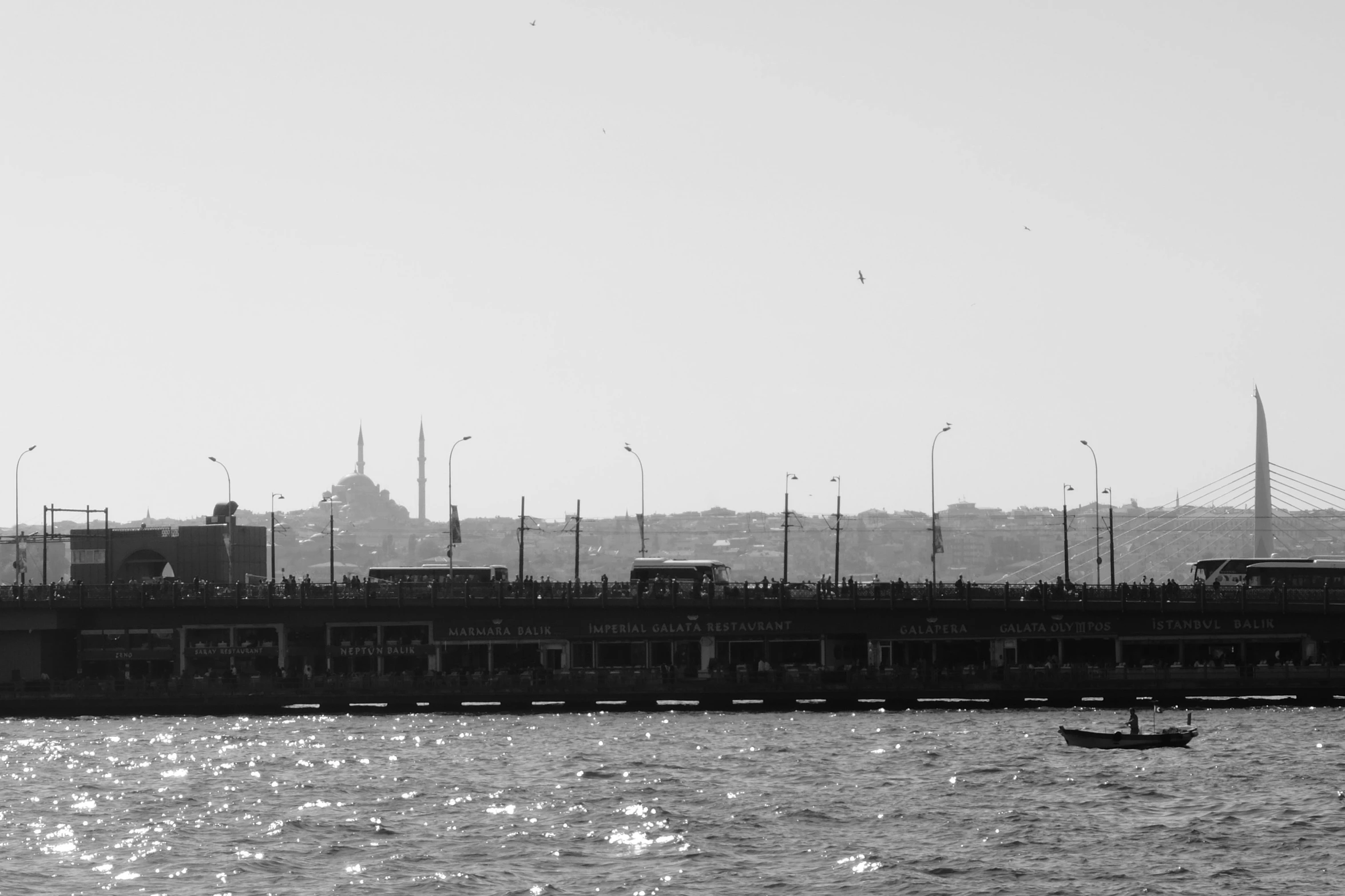 a black and white photo of a boat in the water, a black and white photo, by Niyazi Selimoglu, pexels, hurufiyya, day cityscape, from a distance, ottoman sultan, birds in the distance
