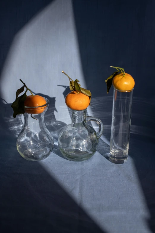 three glass vases with oranges in them on a table, inspired by Aimé Barraud, featured on reddit, bottle, on clear background, close up details, various sizes