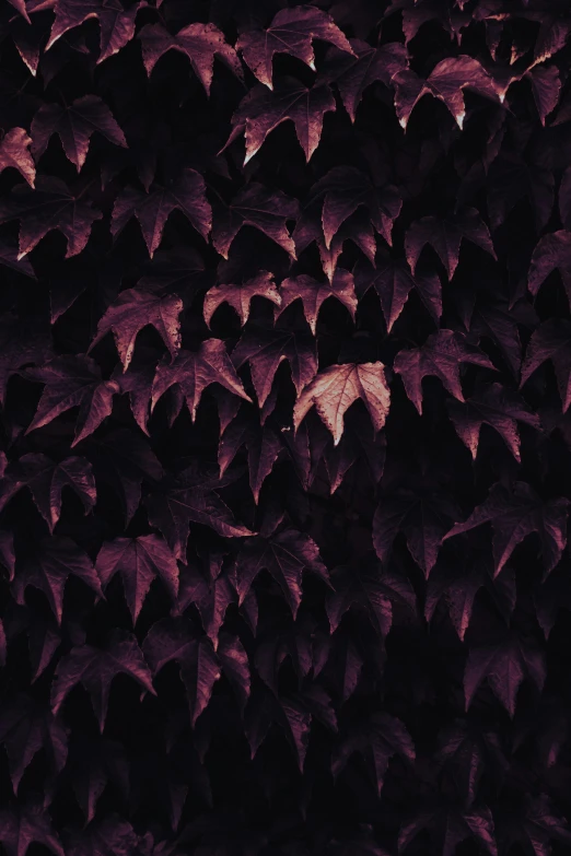 a fire hydrant sitting in front of a bunch of leaves, inspired by Elsa Bleda, pexels contest winner, dark purple tones, fractal vines, dark wallpaper, shot on sony a 7