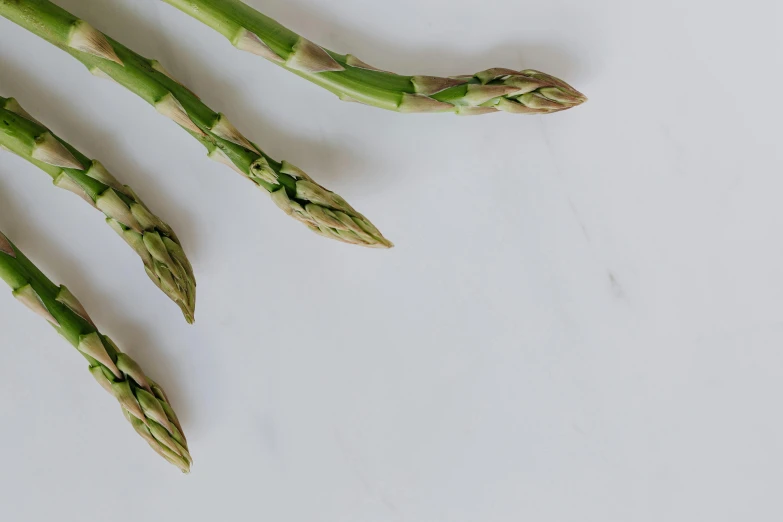 a close up of asparagus spears on a white surface, unsplash, private press, made of carrara marble, background image, ilustration, ingredients on the table