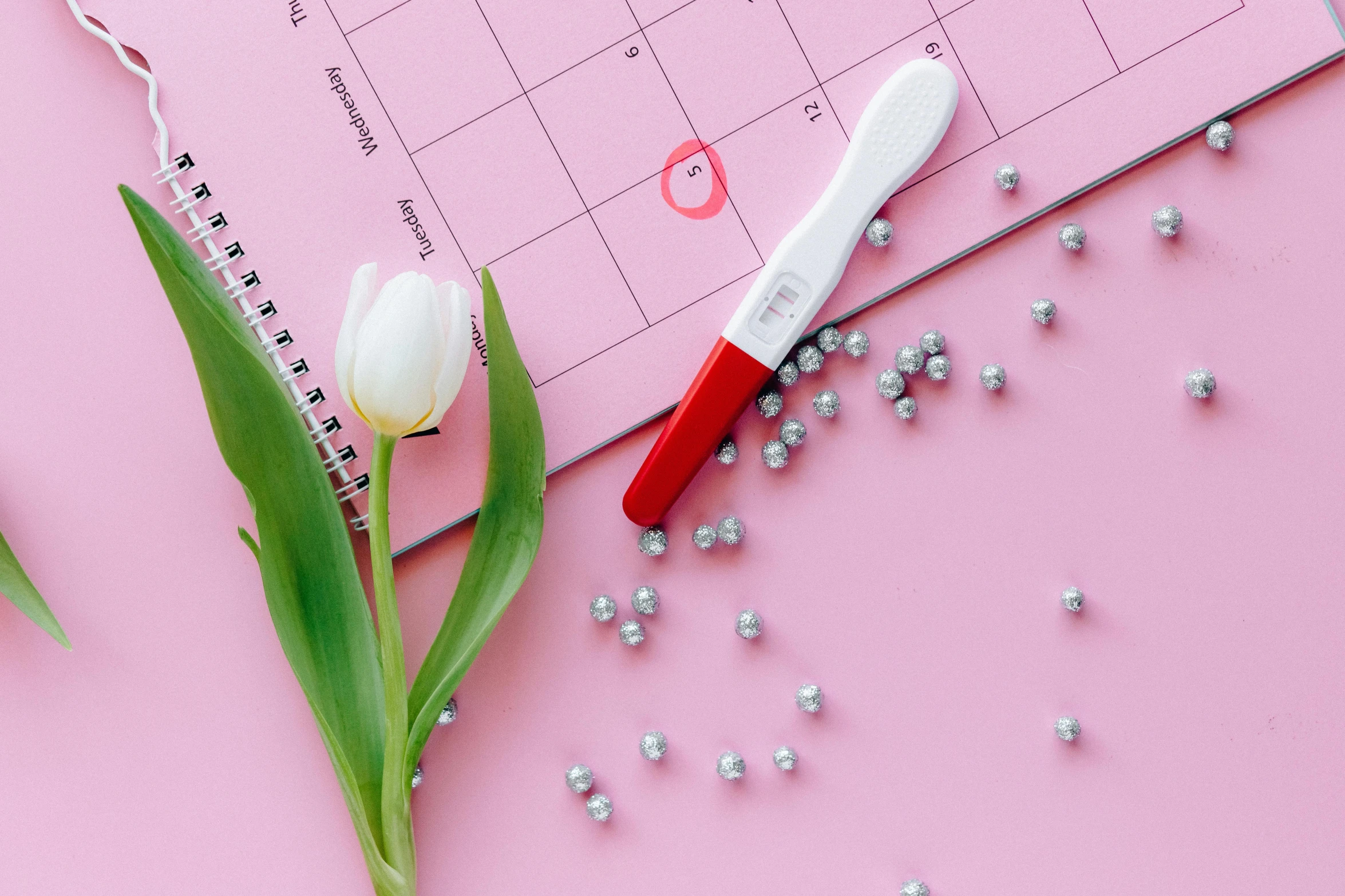 a white tulip sitting on top of a pink table next to a calendar, by Julia Pishtar, trending on pexels, membrane pregnancy sac, silver red white details, candy treatments, fine point pen