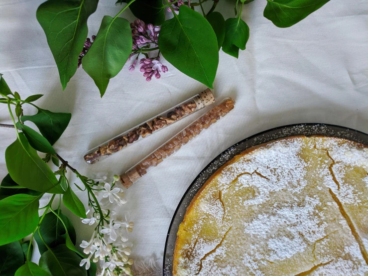 a cake sitting on top of a plate covered in powdered sugar, inspired by Ödön Márffy, unsplash, rococo, jackstraws, cottagecore hippie, background image, edible flowers