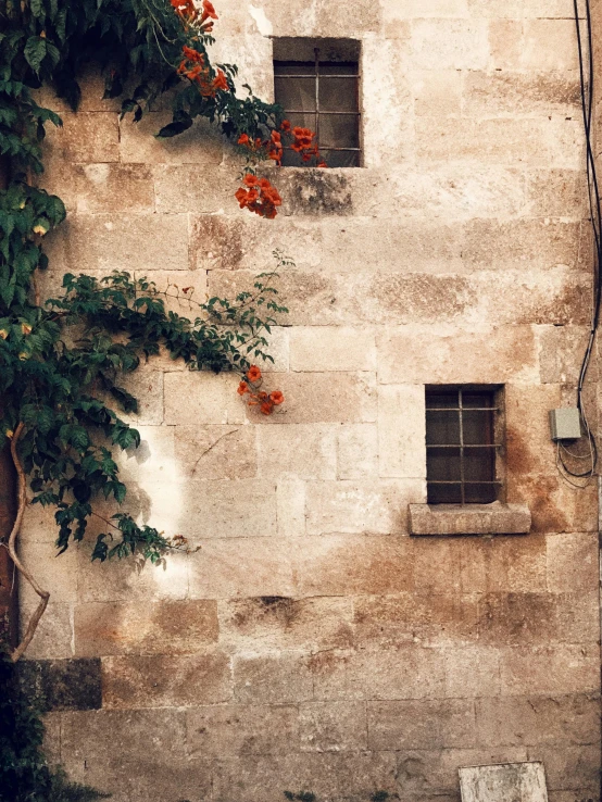 a red fire hydrant sitting in front of a stone building, an album cover, inspired by Elsa Bleda, pexels contest winner, romanesque, vines and flowers, wires hanging across windows, jerusalem, taken on iphone 14 pro