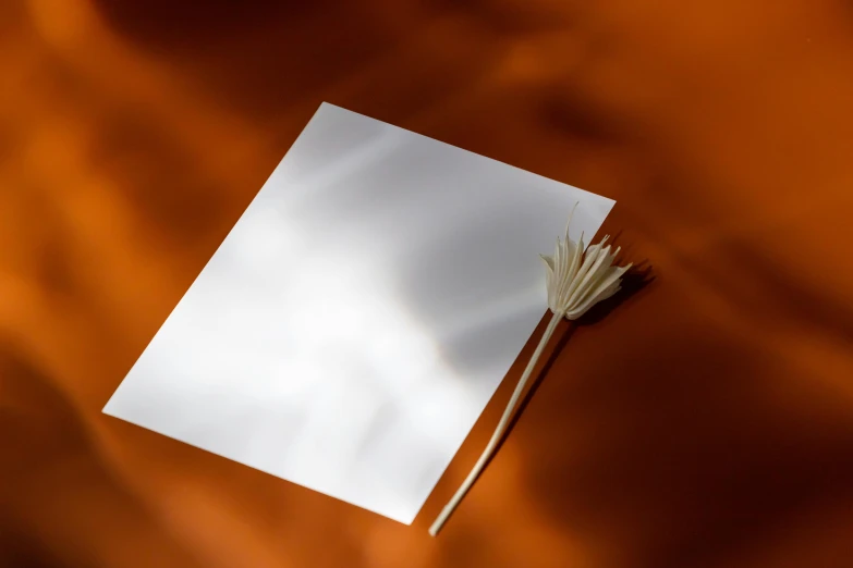 a piece of paper with a broom sticking out of it, inspired by Robert Mapplethorpe, unsplash, glossy white metal, white petal, orange tone, smooth light shading