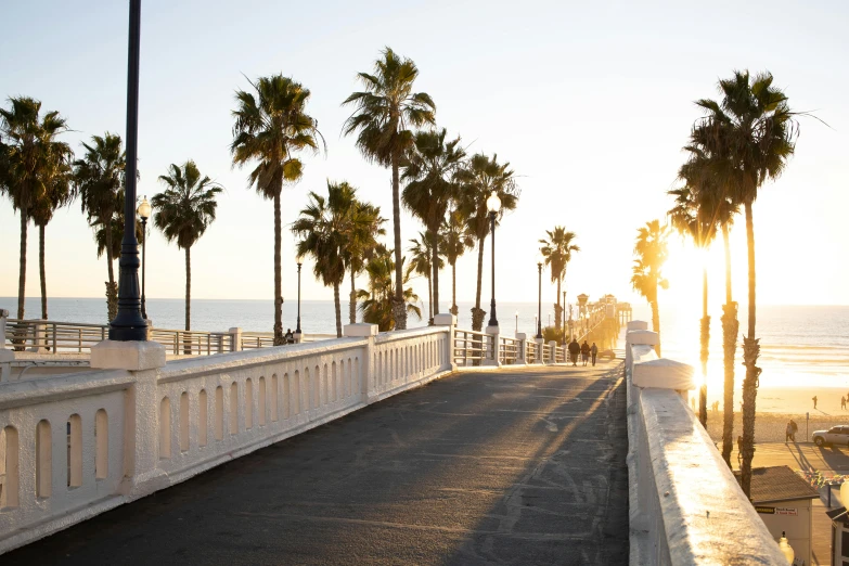 a street lined with palm trees next to the ocean, bridge over the water, winter sun, profile image