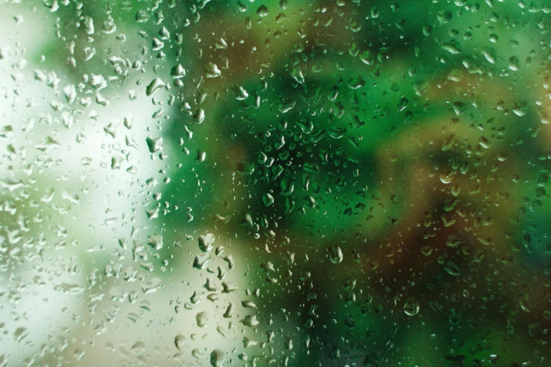 a person holding an umbrella in the rain, an album cover, inspired by Elsa Bleda, trending on unsplash, hurufiyya, large green glass windows, humidity mold, an abstract, rainy day in minecraft