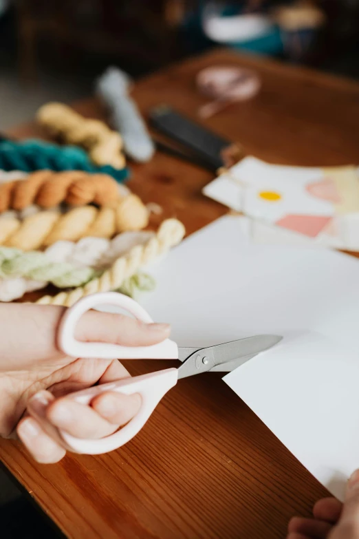 a person cutting a piece of paper with a pair of scissors, gourmet and crafts, made out of wool, curated collections, snacks