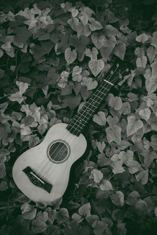 a black and white photo of a guitar in the grass, an album cover, unsplash, romanticism, ukulele, made of leaves, 15081959 21121991 01012000 4k, vine covered