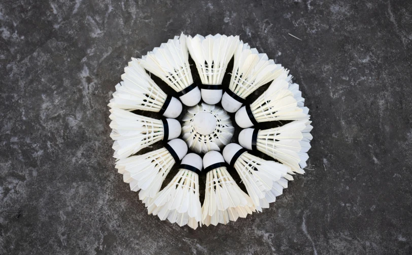 a white badminton racquet sitting on top of a cement floor, by Caroline Mytinger, pexels contest winner, hurufiyya, mandala ornament, made of ferrofluid, white feathers, centerpiece symmetry