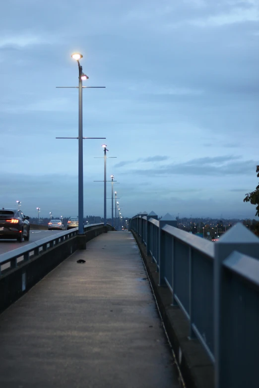 a couple of cars that are on a bridge, streetlights, looking towards the horizon, with walkways, slight overcast lighting