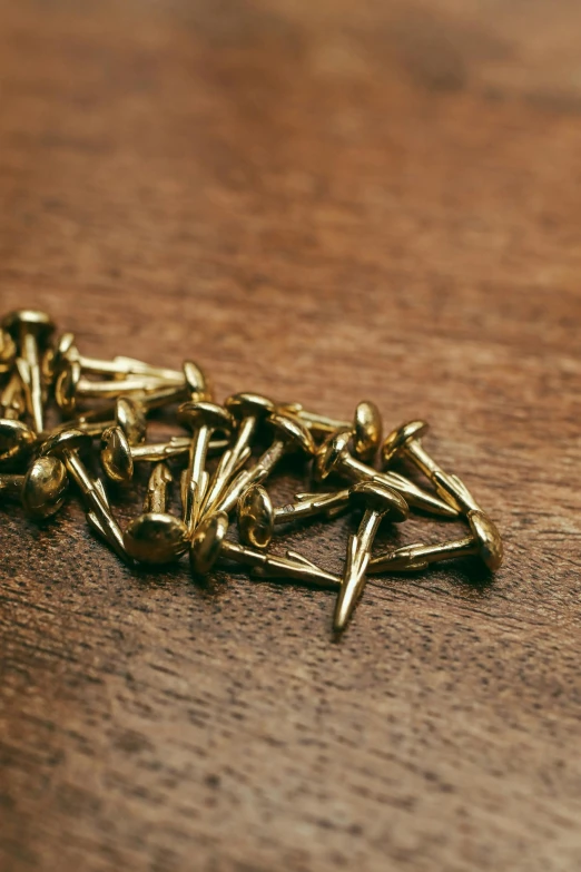 a pile of screws sitting on top of a wooden table, inspired by david rubín, unsplash, renaissance, gold trim, unclipped fingernails, thumbnail, detailed product image
