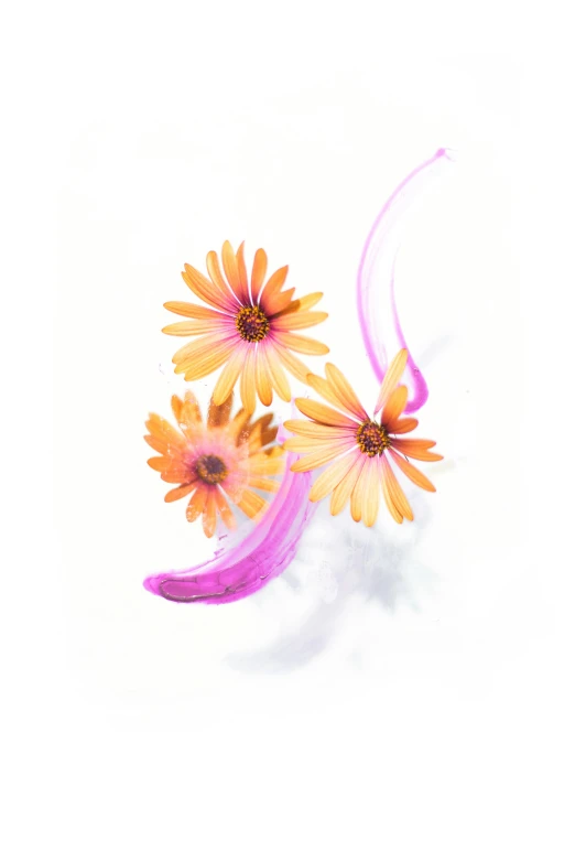 a bunch of flowers sitting on top of a white surface, a watercolor painting, twirly, some orange and purple, photographic render, promo image