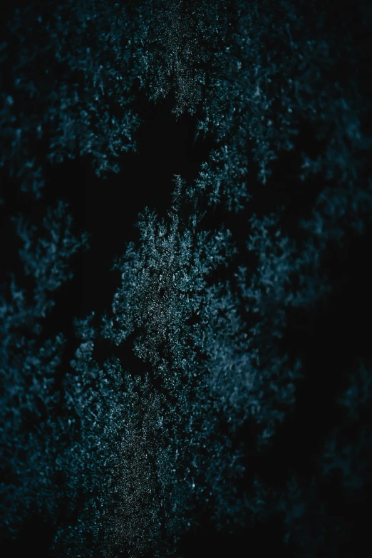 a man standing on top of a snow covered ground, a microscopic photo, inspired by Elsa Bleda, unsplash contest winner, conceptual art, dark blue and black, simple tree fractal, close up shot from the top, magicavoxel cinematic lighting