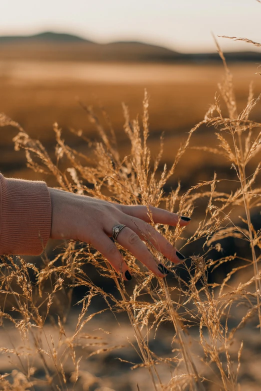 a close up of a person's hand in a field, a picture, inspired by Elsa Bleda, trending on pexels, golden hour 8k, autum, plain background, jewelry