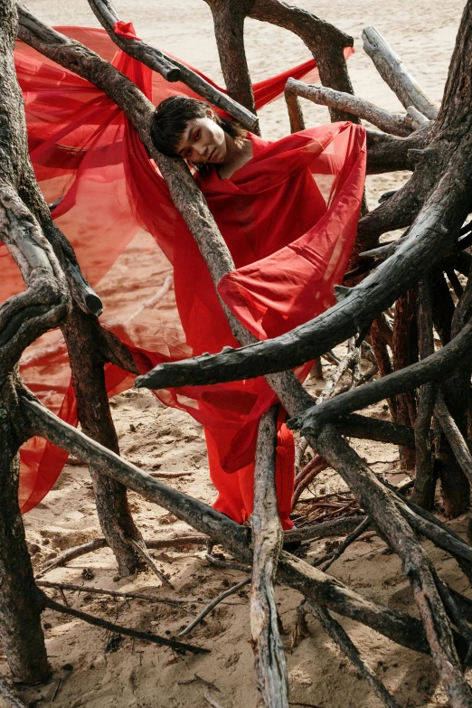 a woman in a red dress laying in a tree, an album cover, inspired by Scarlett Hooft Graafland, land art, detail, bangladesh, slide show, ritu kumar