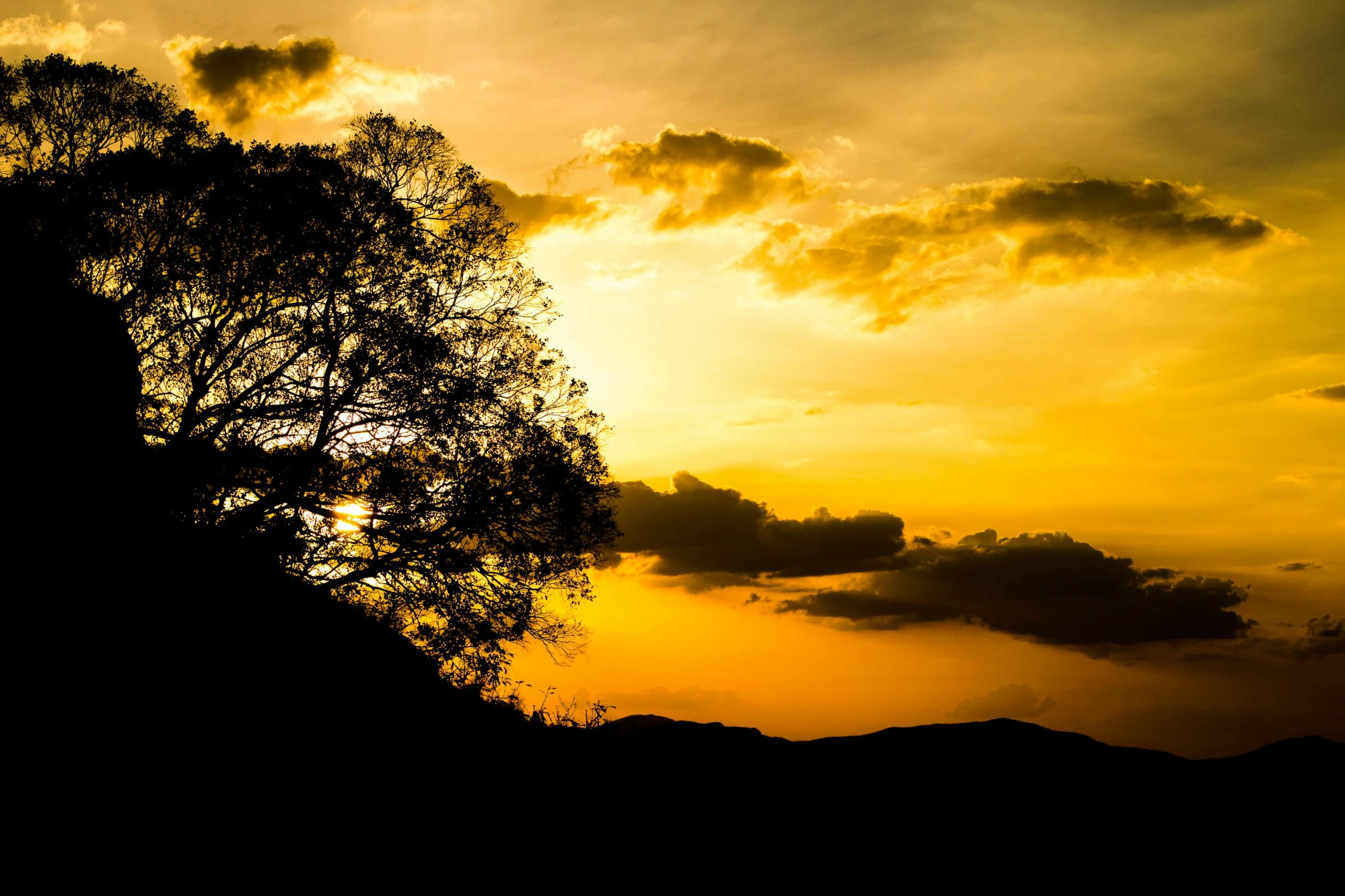 a lone tree is silhouetted against the setting sun, by Niklaus Manuel, pexels contest winner, colombia, hillside, yellow and black, instagram post