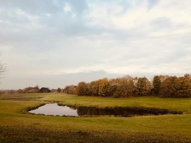 a field with a pond in the middle of it, inspired by Richard Wilson, unsplash, land art, late autumn, 2000s photo