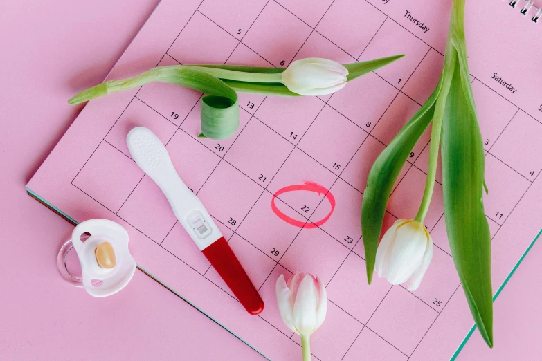 a bunch of white tulips sitting on top of a calendar, a digital rendering, by Julia Pishtar, trending on pexels, pink and red color scheme, contracept, membrane pregnancy sac, 🍸🍋