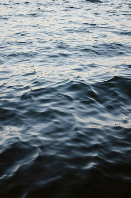 a person riding a surfboard on top of a body of water, inspired by Andreas Gursky, unsplash, lyrical abstraction, detail shot, dark blue water, oil on water, calm evening