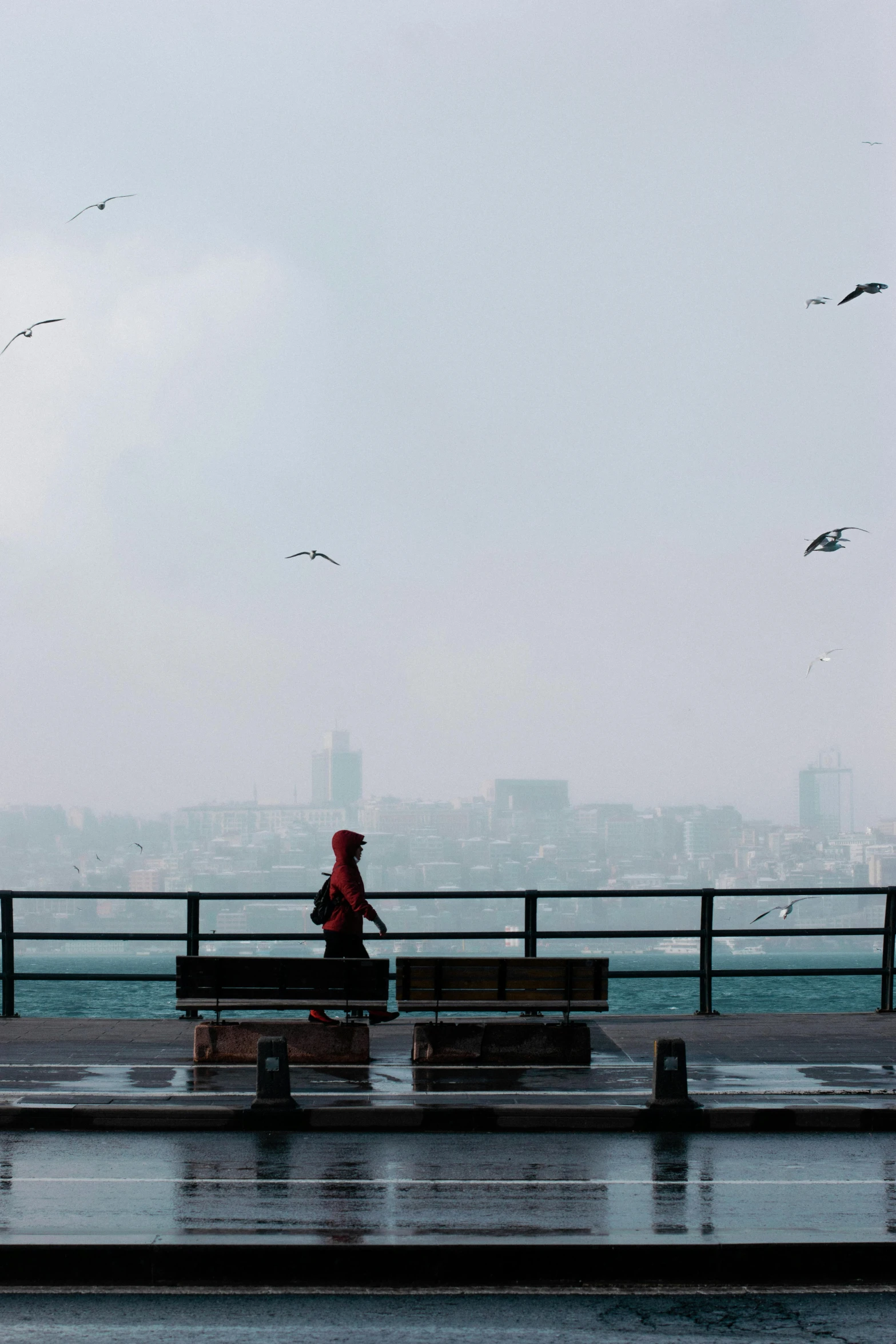 a person sitting on a bench in the rain, by irakli nadar, pexels contest winner, hurufiyya, flying birds in distance, harbor, panoramic view of girl, hazy and misty