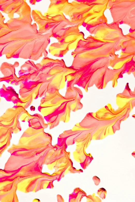 a close up of a painting on a white surface, a microscopic photo, trending on pexels, pink and yellow, flaming leaves, shades of aerochrome, 'untitled 9 '
