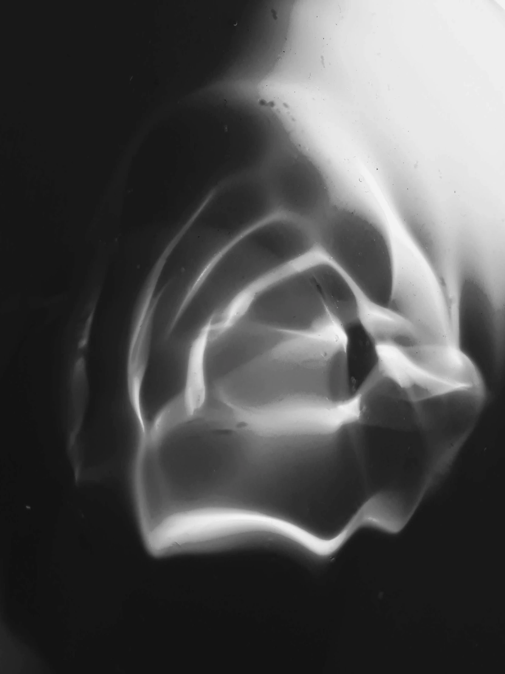 a black and white photo of a flower, a raytraced image, inspired by Edward Weston, lyrical abstraction, made of glowing wax and ceramic, giant mechanical rose, light leaks, summer 2016