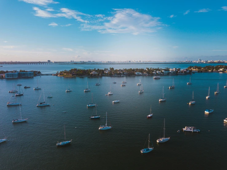 a large body of water filled with lots of boats, pexels contest winner, miami vice, bored ape yacht club, high vantage point, high quality photo