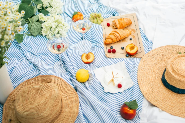 a straw hat sitting on top of a blue and white blanket, a still life, pexels contest winner, people on a picnic, with fruit trees, fine dining, background image