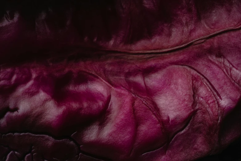 a close up of a red cabbage leaf, by Nina Hamnett, unsplash, process art, leather padding, dark purple, cooked, rich deep pink