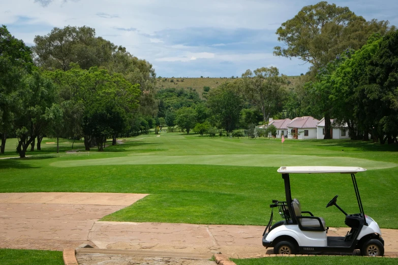 a golf cart sitting on top of a lush green field, by Hubert van Ravesteyn, tournament, bottom shot, obunga, park in background