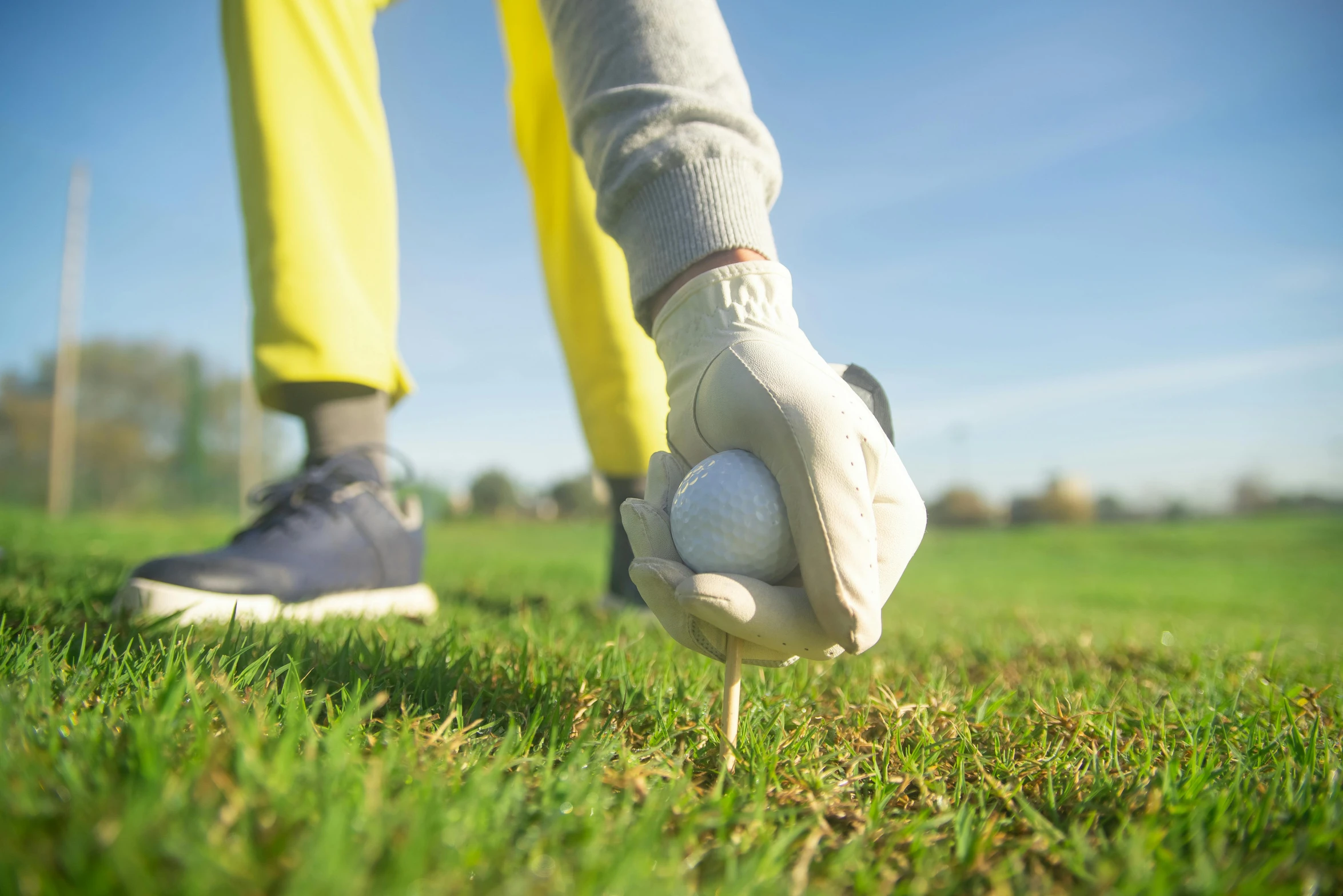 a person holding a golf ball on a tee, standing in a grassy field, lawns, high quality product image”