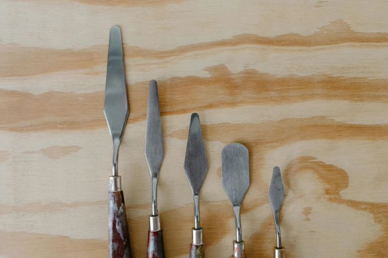 a group of knives sitting on top of a wooden table, a portrait, inspired by Kyffin Williams, unsplash, process art, spatula, eucalyptus, 5, various sizes