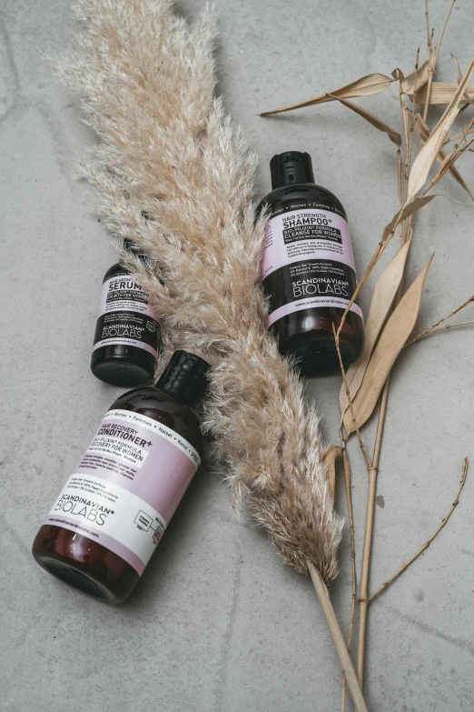 a couple of bottles sitting on top of a table, inspired by Henriette Grindat, unsplash, renaissance, lavender hair, product view, caramel. rugged, manuka